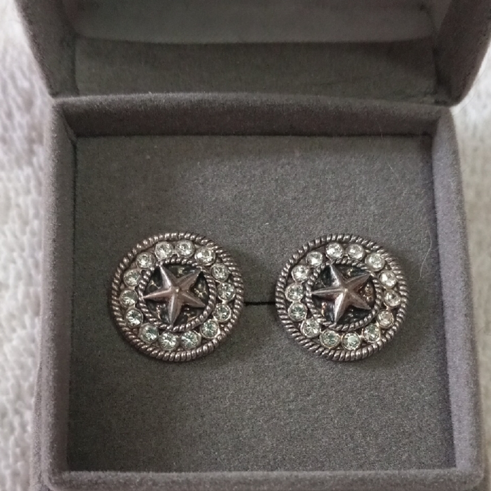 Western Style Pierced Earrings